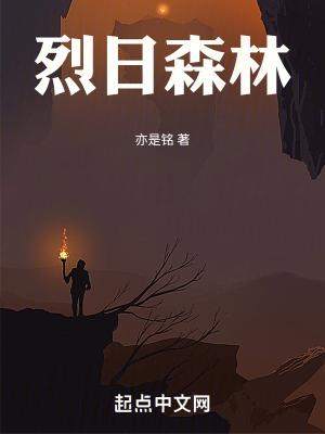 烈日森林图片唯美