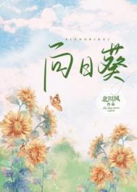 向日葵远程控制软件官网