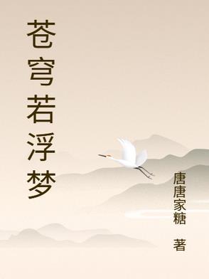 苍穹落幕什么意思