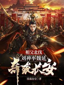 三国刘禅之子是谁